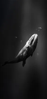 Dark Whale Live Wallpaper
