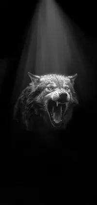 Dark Wolf Live Wallpaper