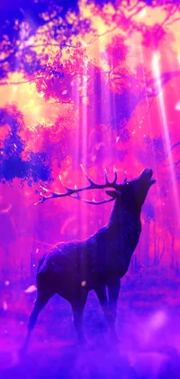 Deer Live Wallpaper