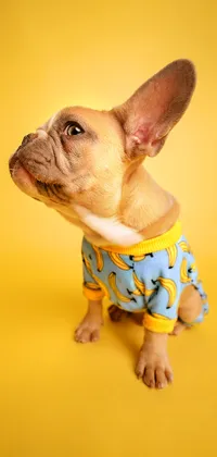 Dog in Pajamas Live Wallpaper