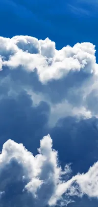 Cloud Sky Snout Live Wallpaper - free download