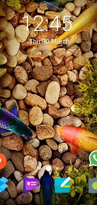 Fishes Live Wallpaper
