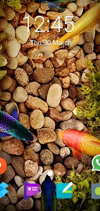 fish animated wallpaper free download