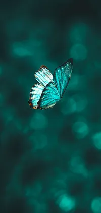 Flying Turquoise Butterfly Live Wallpaper