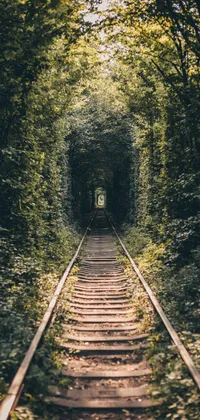 Forest Railroad Tunnel Live Wallpaper