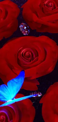 Glitter Red Roses Live Wallpaper