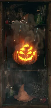 Halloween Pumpkin Live Wallpaper