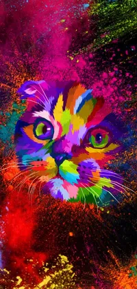 Holi Cat Color Live Wallpaper