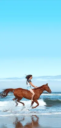 Horse Riding Live Wallpaper