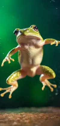 Jumping Frog Close-up Live Wallpaper