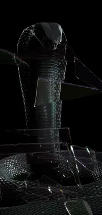 King Cobra Black Live Wallpaper