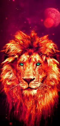 Lion Portrait Live Wallpaper