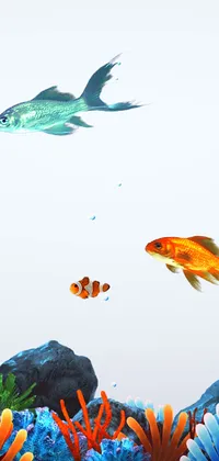 Moving Fish in Aquarium Live Wallpaper