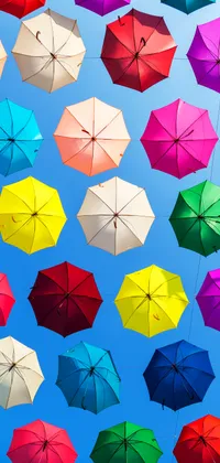 Multicolor Umbrellas Live Wallpaper