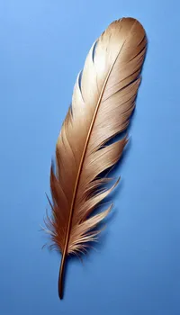 Natural Material Feather Wing Live Wallpaper