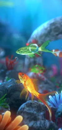 moving fish wallpapers