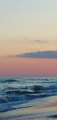 Ocean Shore Live Wallpaper