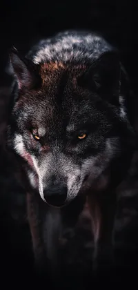 black wolf red eyes tattoo