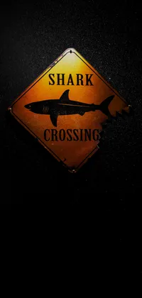 Shark Crossing Sign Live Wallpaper