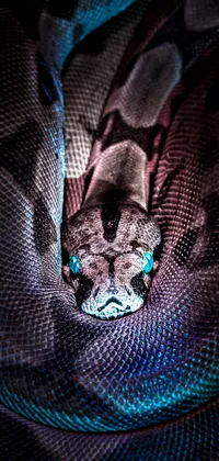 Snake with Neon Eyes Live Wallpaper