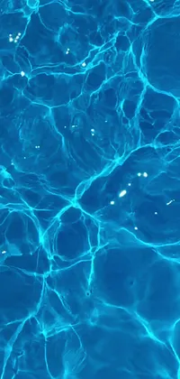 Summer Pool Live Wallpaper