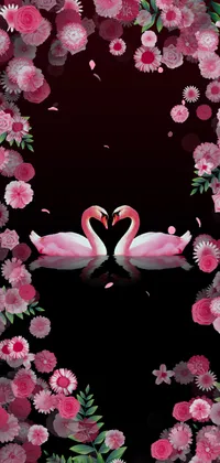 Swans Love Romantic Live Wallpaper
