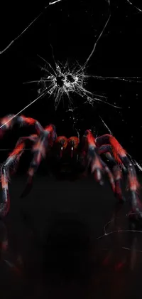 Tarantula Attack Live Wallpaper