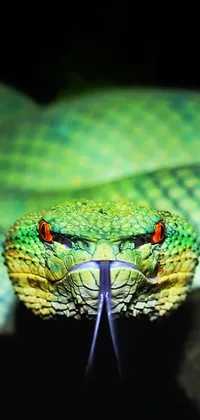 Toxic Viper Live Wallpaper