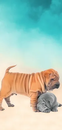 Two Cute Puppies Live Wallpaper
