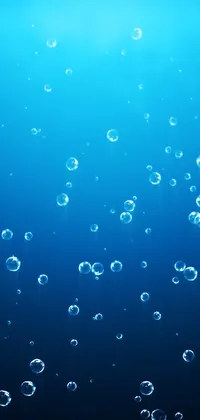 Water Screenshot Bubble Live Wallpaper - free download